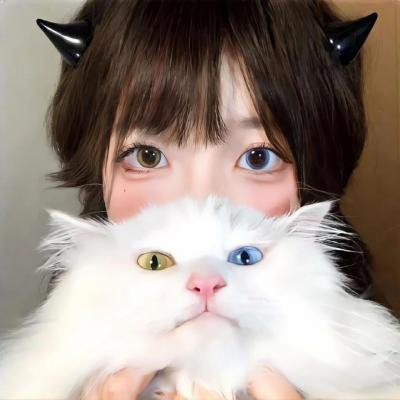 菜鸟先生